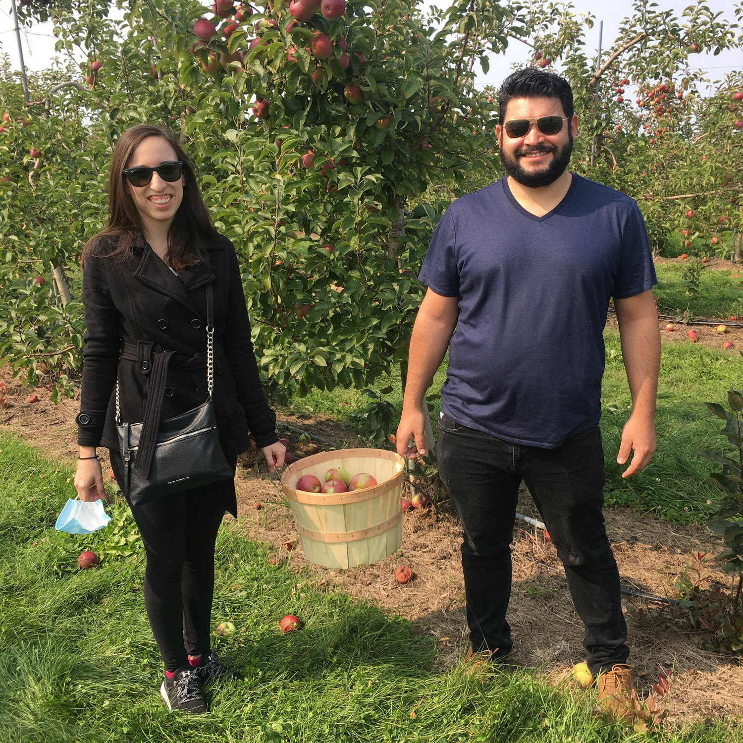 Apple picking 2020
