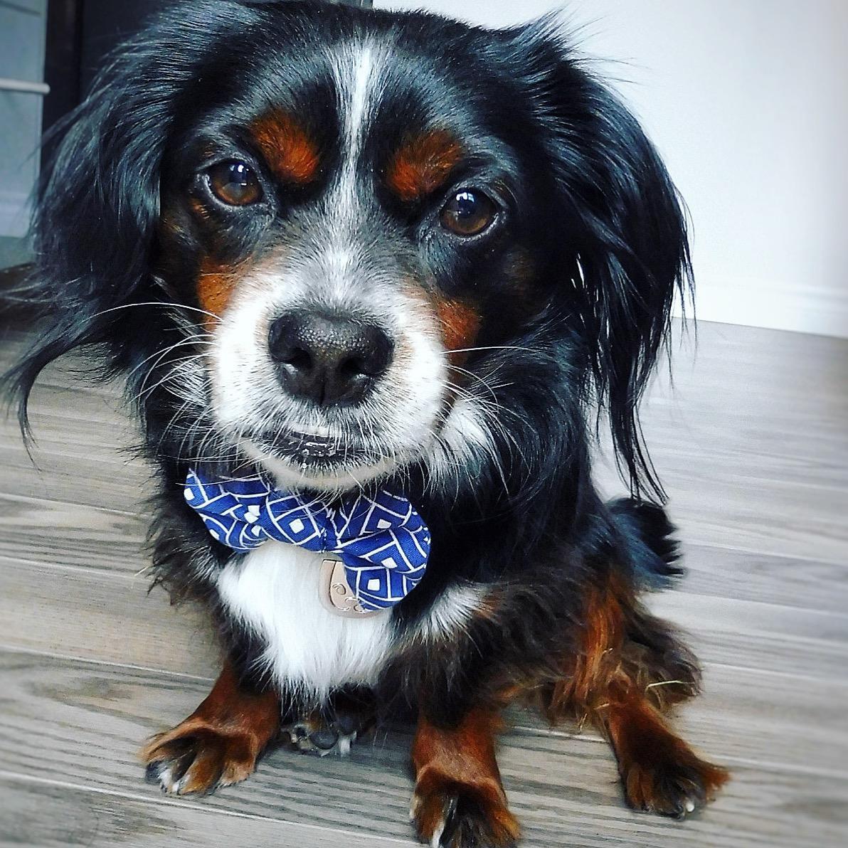 Our very best friend; Brody