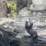 Smithsonian National Zoological Park
