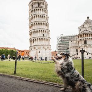 Visiting the Leaning Tower of Pisa