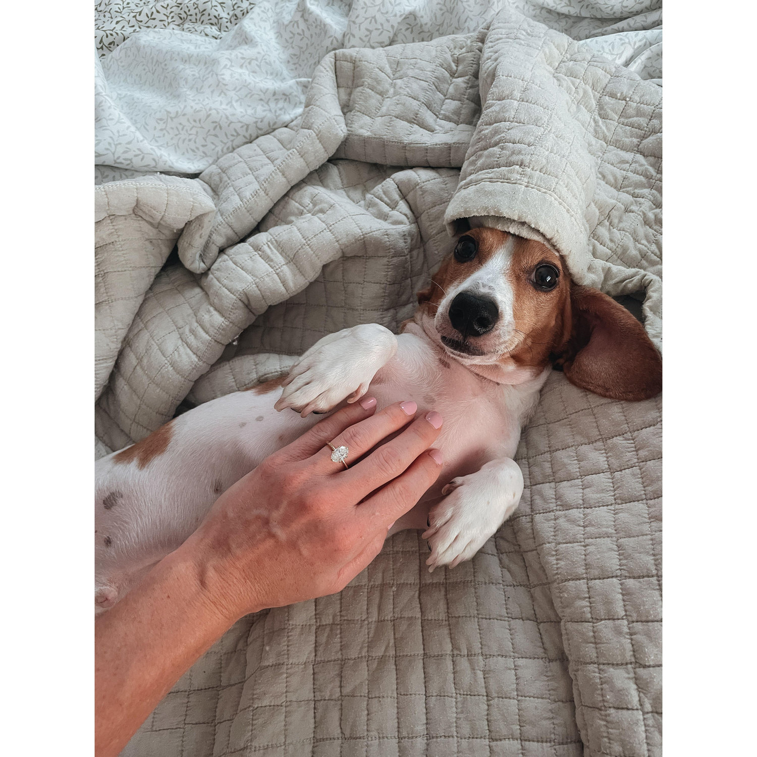 Alexis asked Chauncey if he was okay with getting a new roommate.