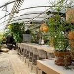 Greenhouse Bar