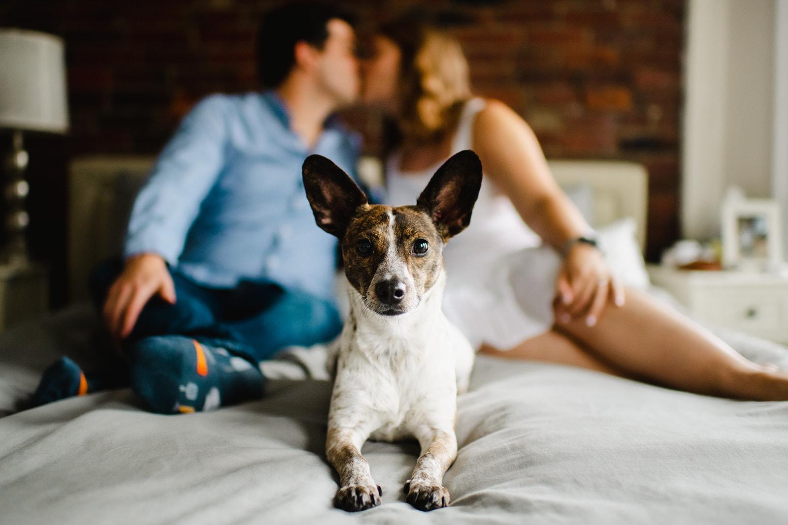 The Wedding Website of Claudia Rosenblatt and Sean Galletta