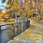 Kathryn Albertson Park