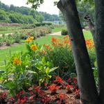 Nicholas Conservatory & Gardens