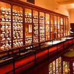 The College of Physicians of Philadelphia