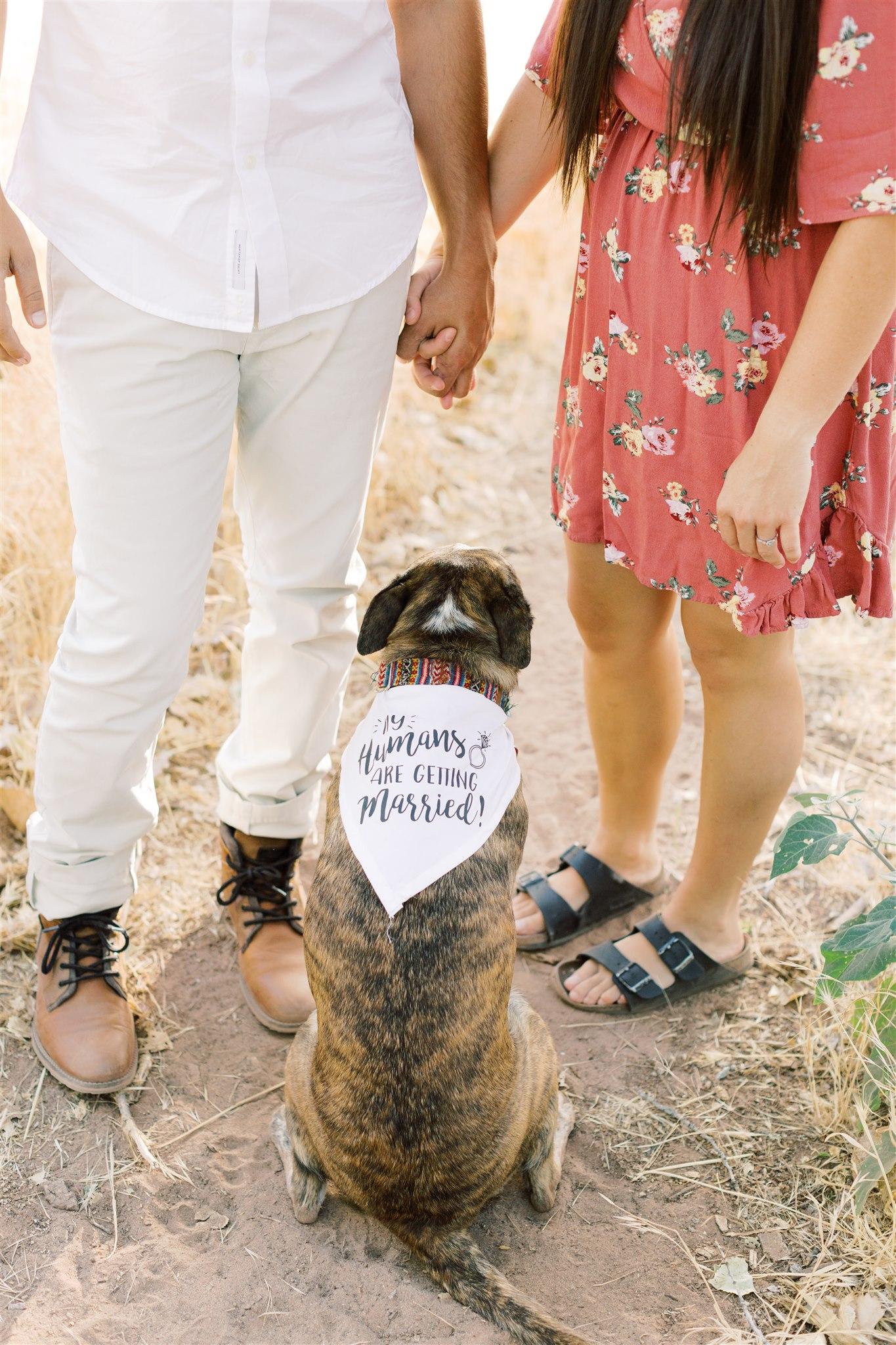 The Wedding Website of Nicole Noblitt and Taylor Kite