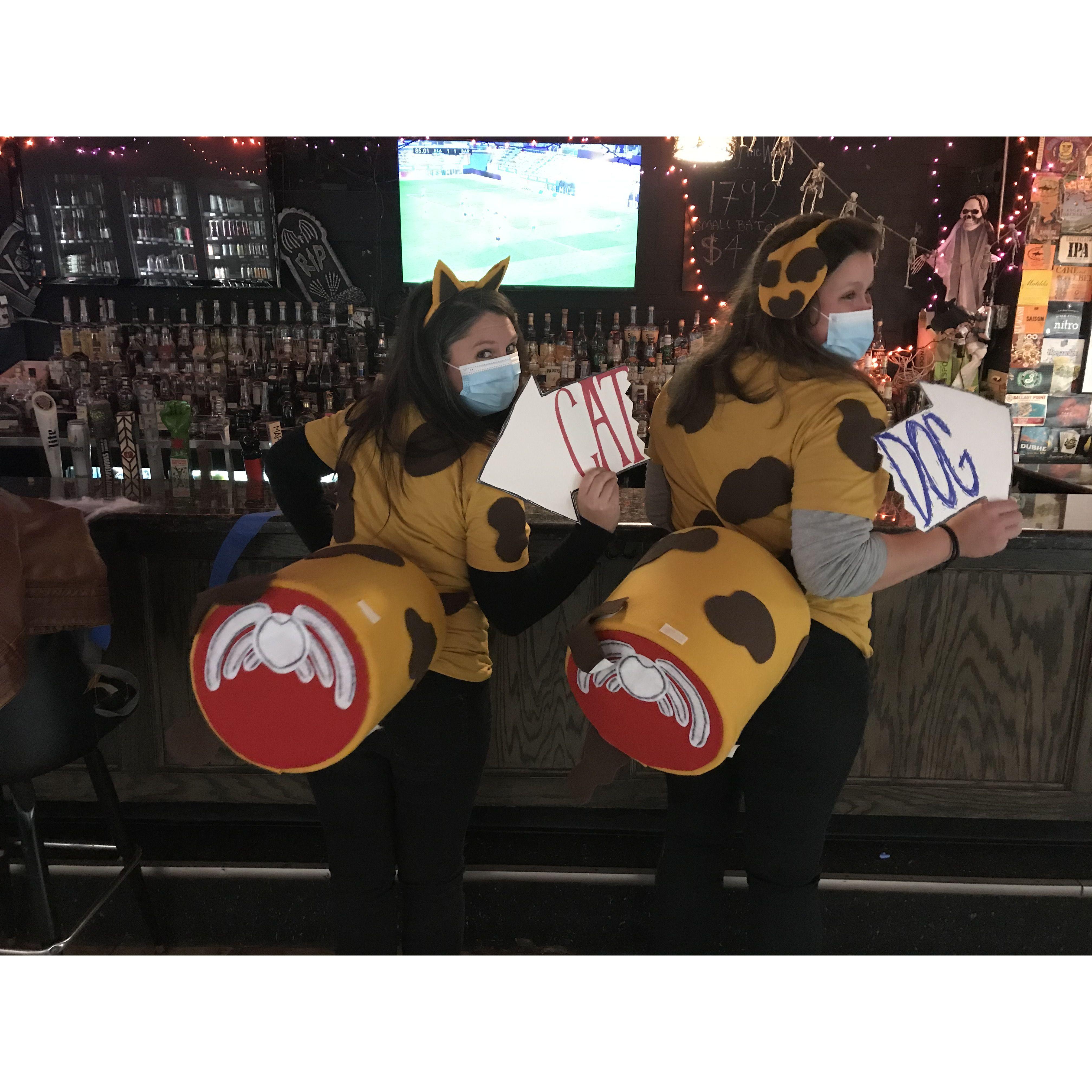 COVID CatDog Halloween 2020