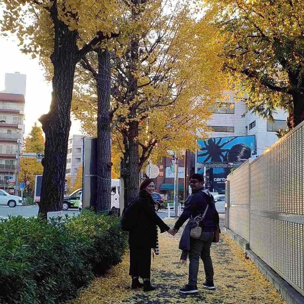 Autumn feels right with these lovely trees somewhere in Shinjuku.