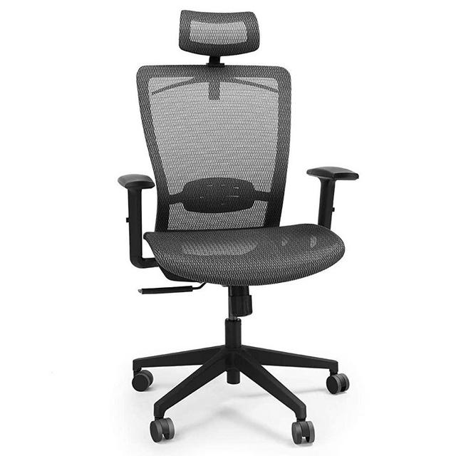 FlexiSpot OC3B Ergonomic Executive Office Chair Swivel Height Adjustable Seat Headrest Armrest on Caster Wheels Black Mesh Seat (Advanced)