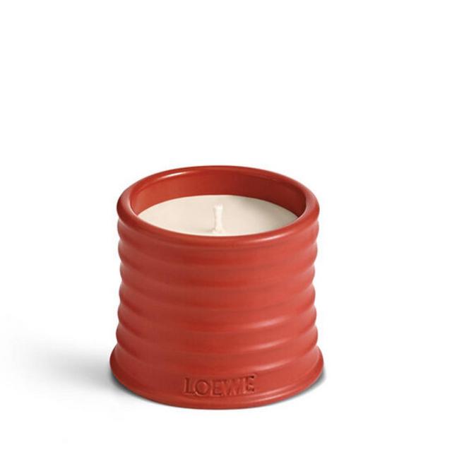 LOEWE HOME SCENTS- Tomato Leaves Candle