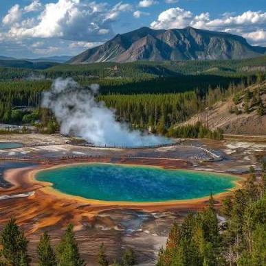 Yellowstone National Park Safari