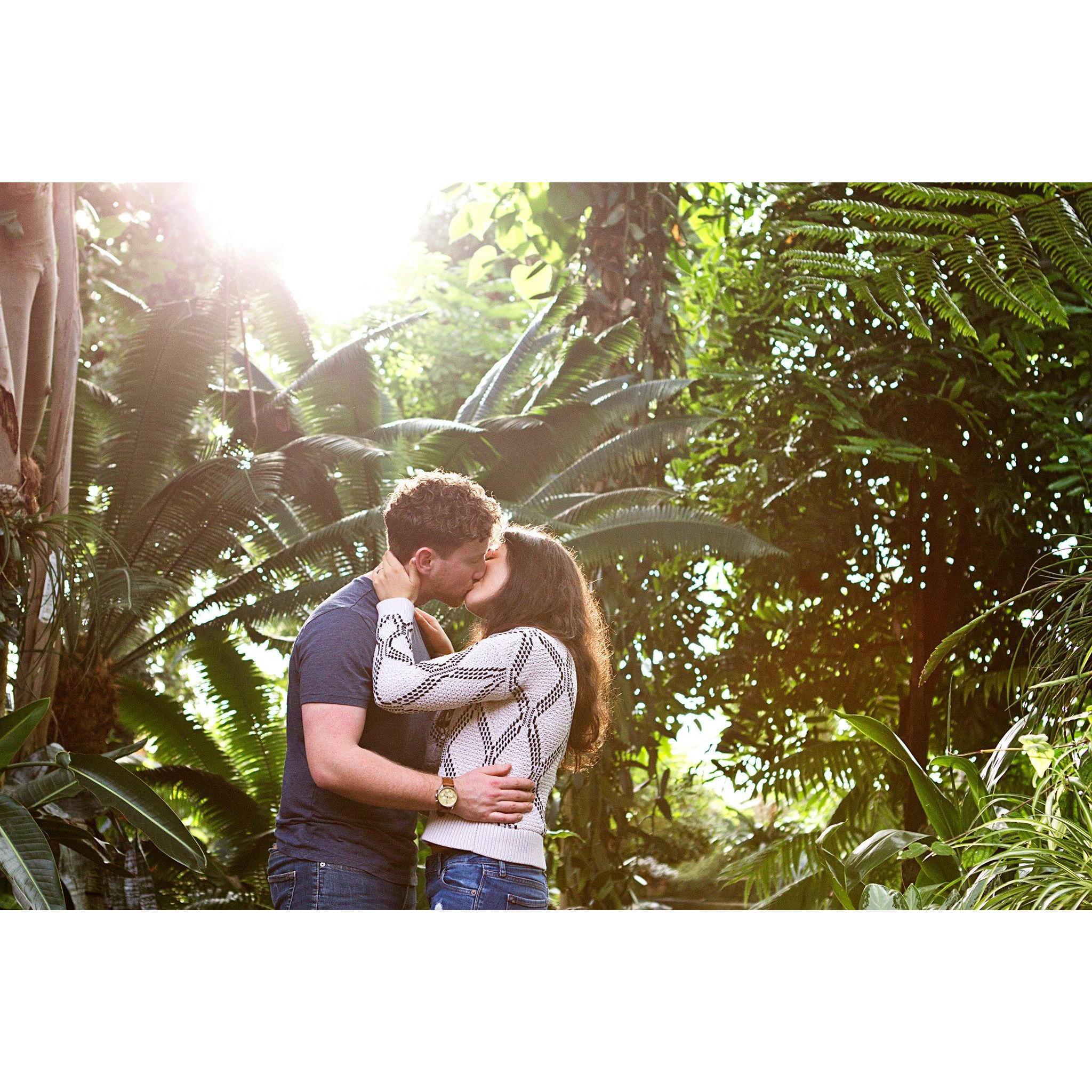 Stephen proposed in the tropical dome at Millwaukee's Mitchell Park Horticultural Conservatory