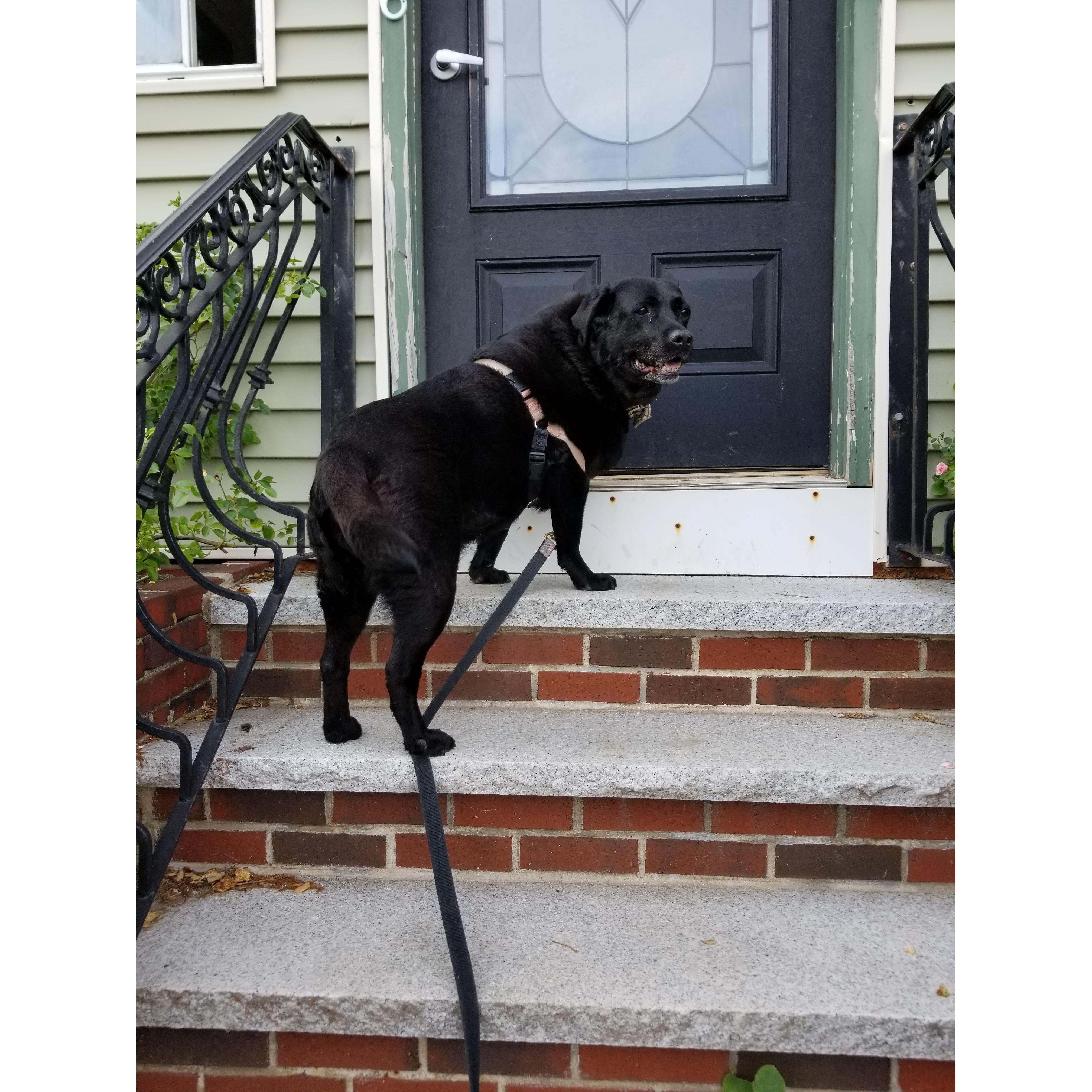 If you get in town early - Molly would love to welcome you in!  Slow walks on the beach are her favorite