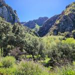 Malibu Creek State Park