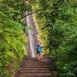 Mānoa Falls Trail