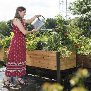 Elevated Cedar Planter Box