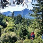 Stoney Creek Canopy Adventures