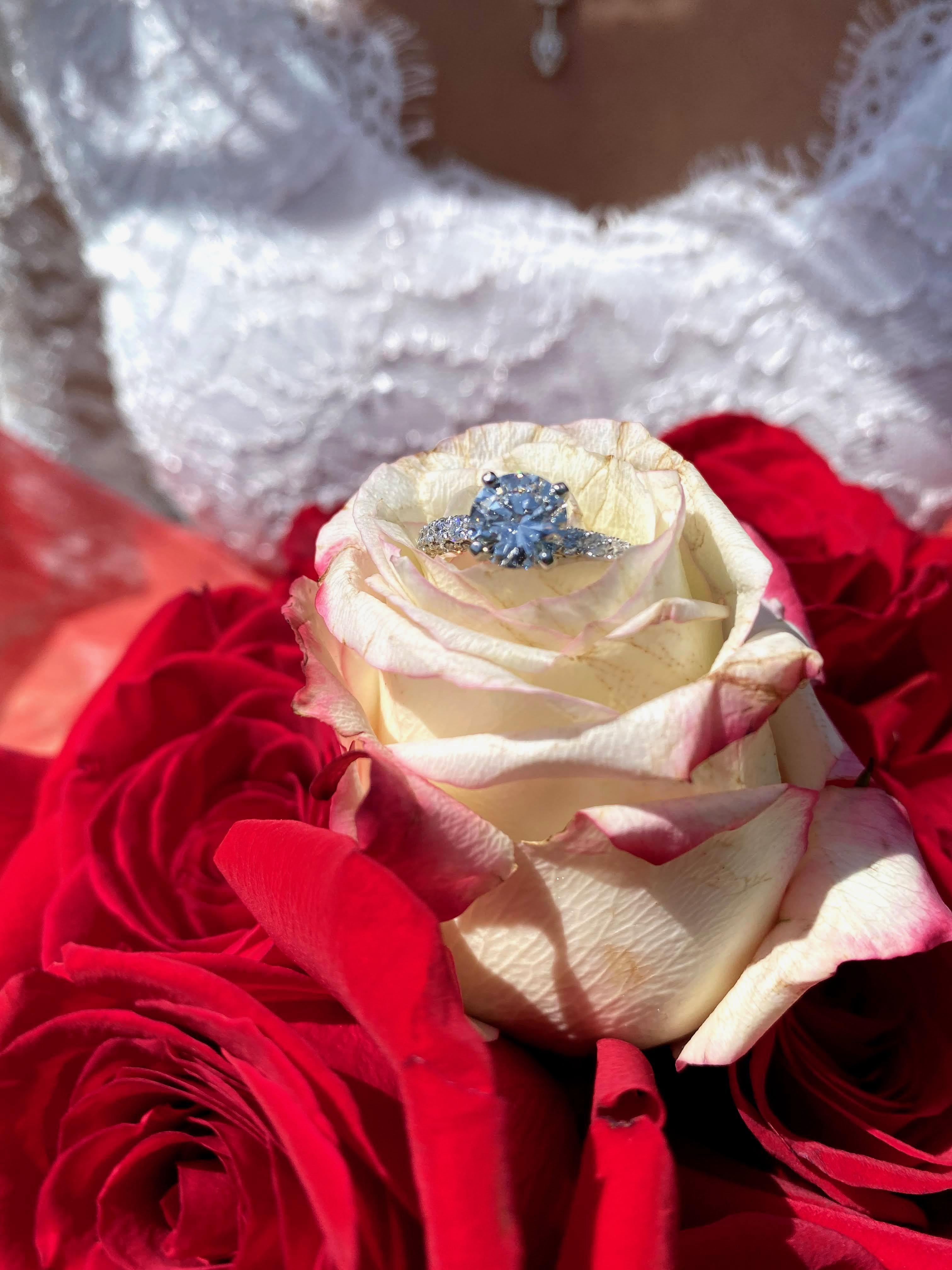 The Wedding Website of Maria Evankovich and Adam Eibel