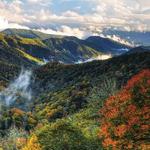 Pisgah National Forest