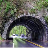 Cades Cove Scenic Loop