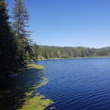 Brush Lake Campground