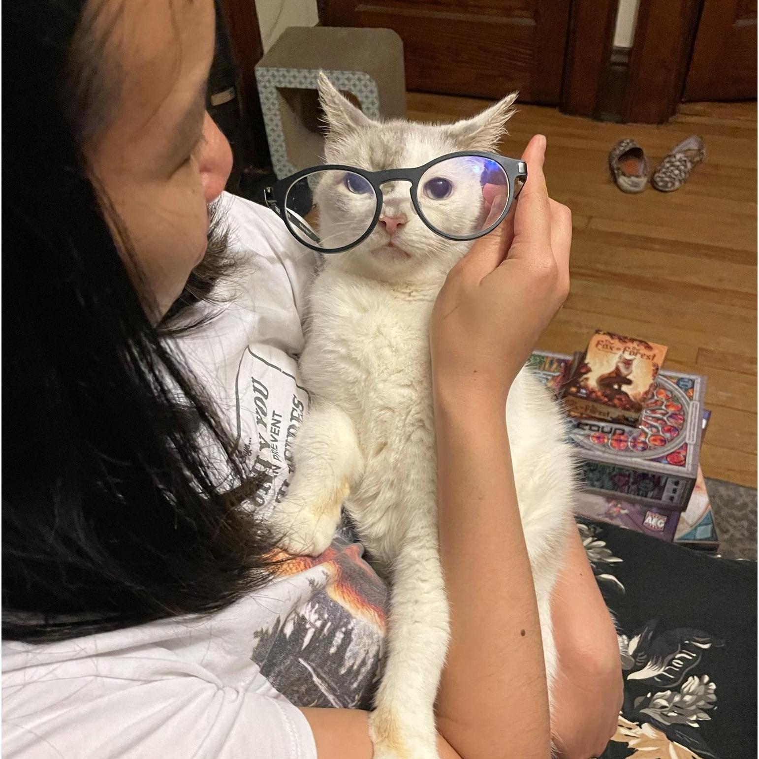 Professor Lagrange