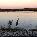 Prime Hook National Wildlife Refuge