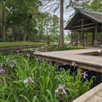 Mercer Botanic Gardens