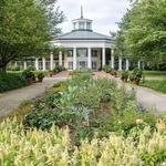 Daniel Stowe Botanical Garden