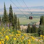 Jackson Hole Aerial Tram and Gondola Rides
