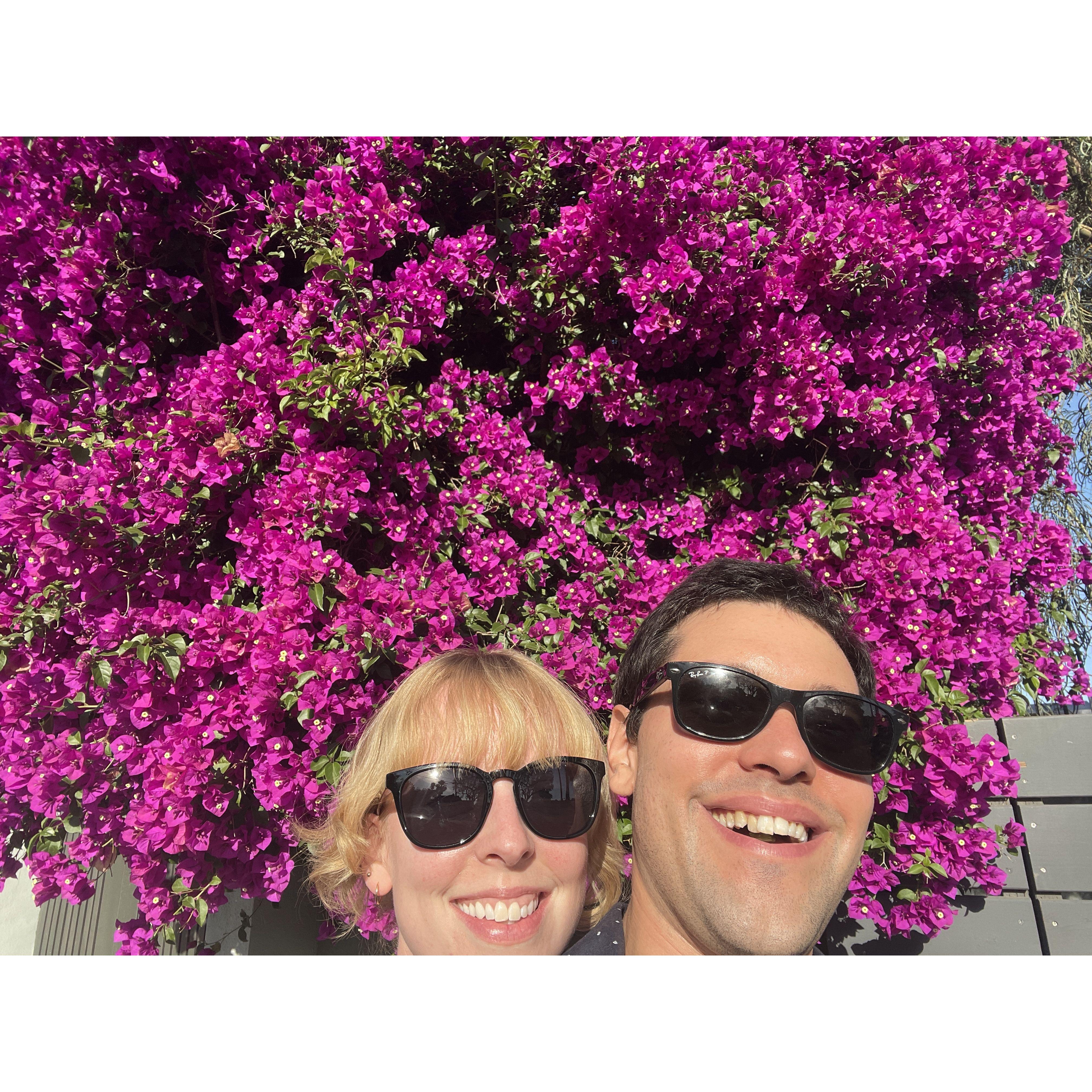 Posing in front of a beautiful bougainvillea on our street in LA