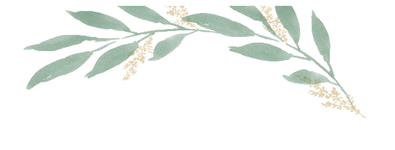 The Wedding Website of Katiana Jean and Vincent Firrello