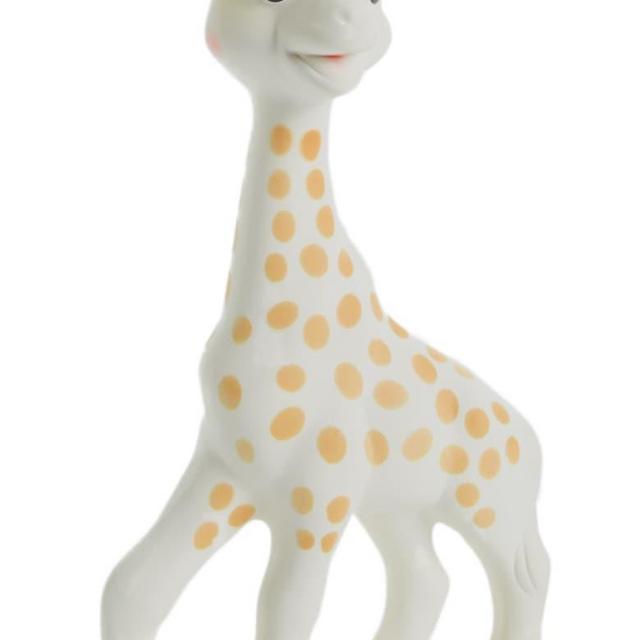 Teething Toy