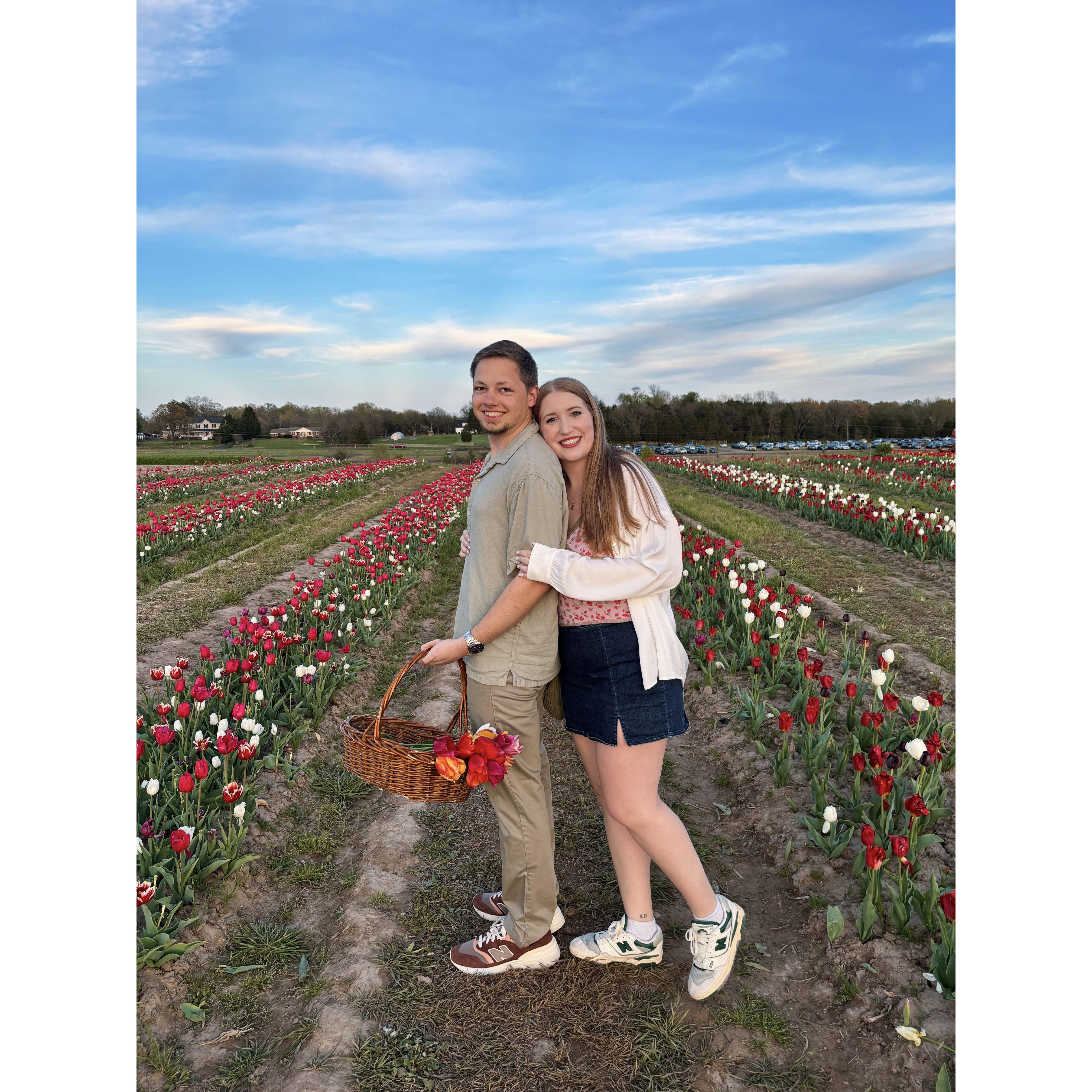 Tulip Garden Date (2024)