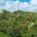 Rainforest Aerial Tram & Ecological Exhibitions