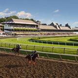 Catch the Races