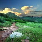 Hall Ranch Open Space