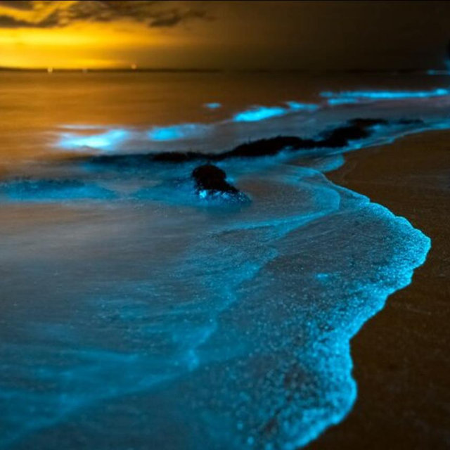 2 TICKETS for Phuket: Phang Nga Bay Bioluminescent Plankton and Sea Canoes tour