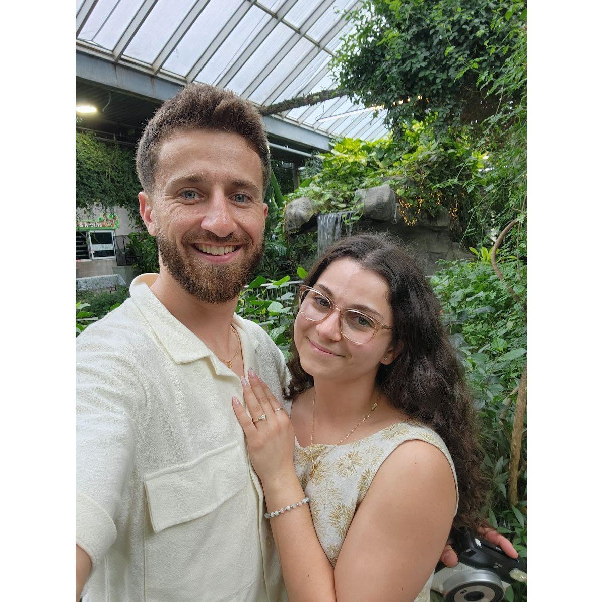 Cambridge Butterfly Conservatory. Where he proposed.