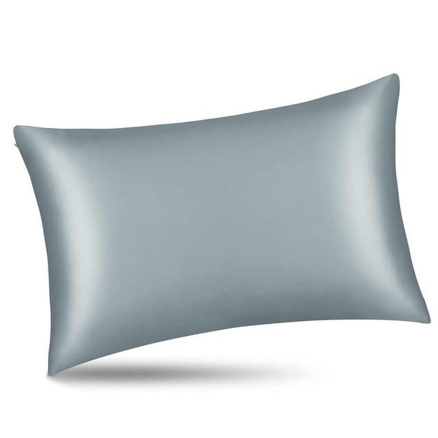 ALASKA BEAR Natural Silk Pillowcase, Hypoallergenic, 19 Momme, 600 Thread Count 100 Percent Mulberry Silk, Standard Size with Hidden Zipper(1, Haze Blue)