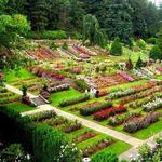 International Rose Test Garden