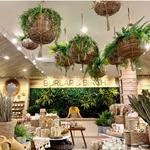Burlap & Birch