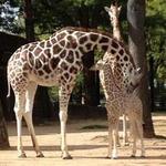 Milwaukee County Zoo