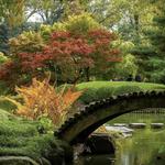 Brooklyn Botanic Garden
