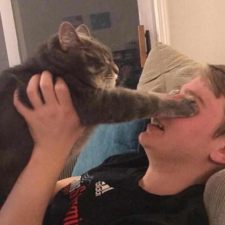 When Jesse tortures the cat