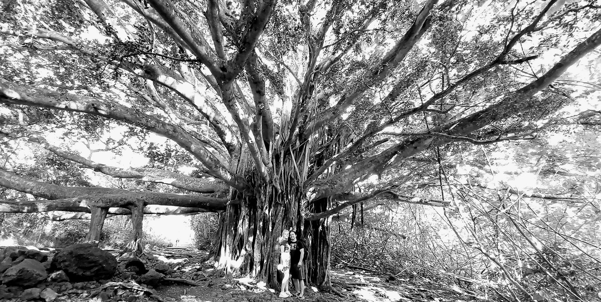 The Wedding Website of Julia Briscoe and Jason Perine