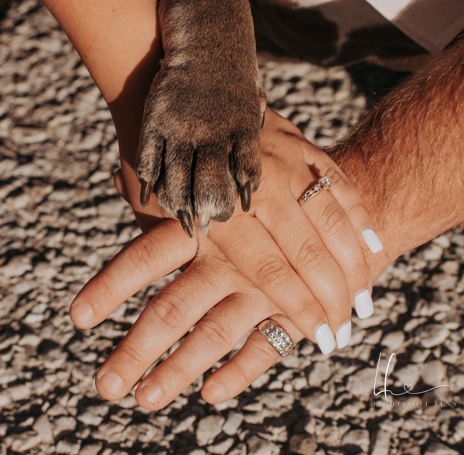 The Wedding Website of Ashlynne McDermitt and Matthew McDermitt