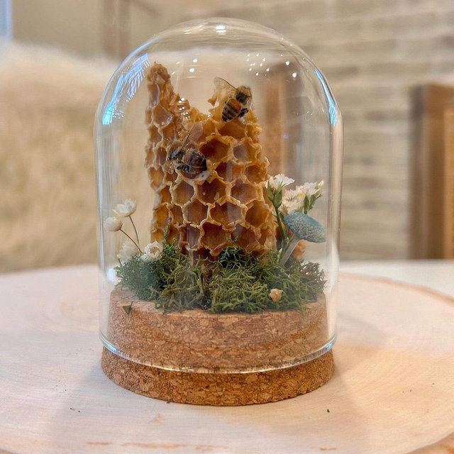 Real Honey Bee Taxidermy Oddity in Mini Glass Dome Jar, Miniature Bee Display with Flowers, Insect Decorations, Entomology, Bee Gift- 3inch