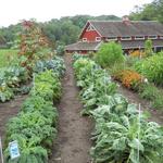 Seed Savers Exchange Heritage Farm